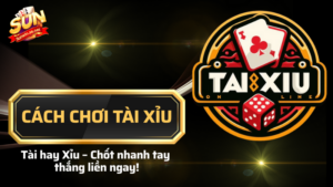 cách chơi tài xỉu